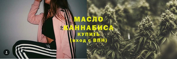 ешки Горняк