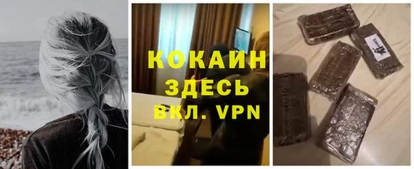 ешки Горняк